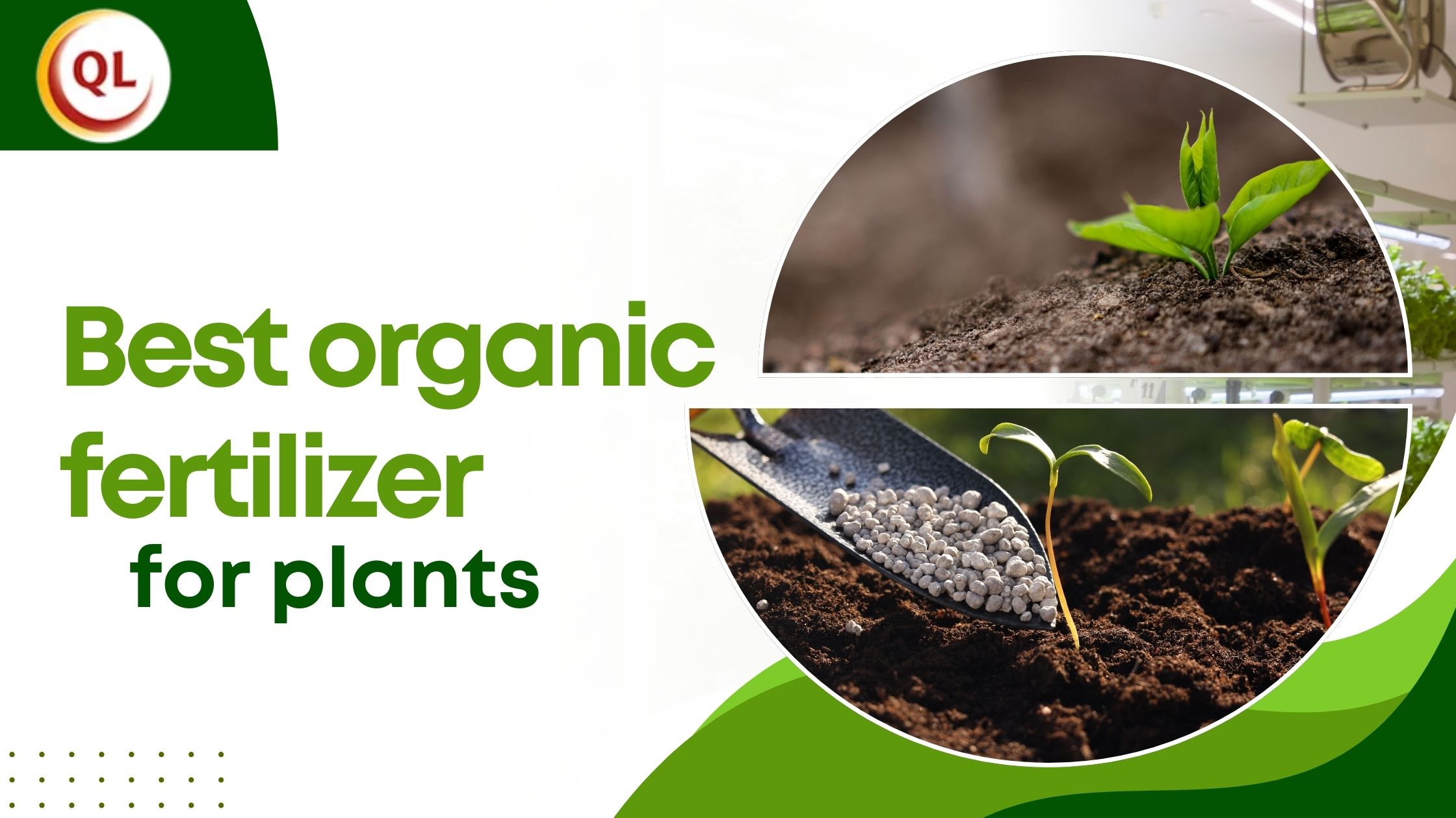 Comparing Organic Products to Find the Best Organic Fertilizer for Plants